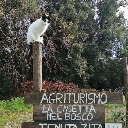 La Casetta Nel Bosco Country house *